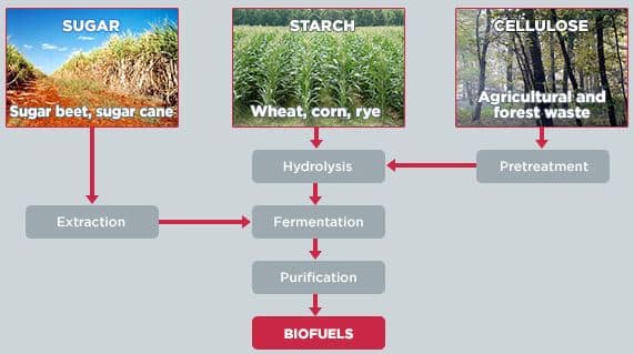 Global_Bioenergies_Feedstocks