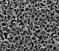 Black Silicon Magnified