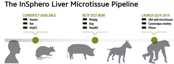 Insphero_Live_Tissue_Pipeline