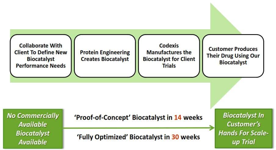 Codexis_Lifecycle