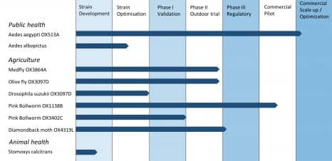 Oxitec_Pipeline