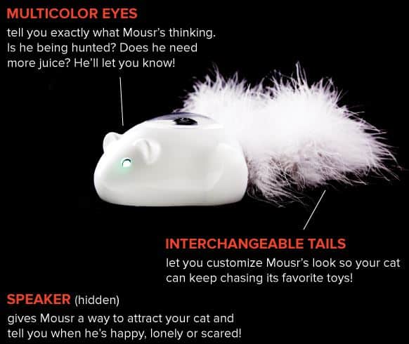 mousr-home-robot-mouse