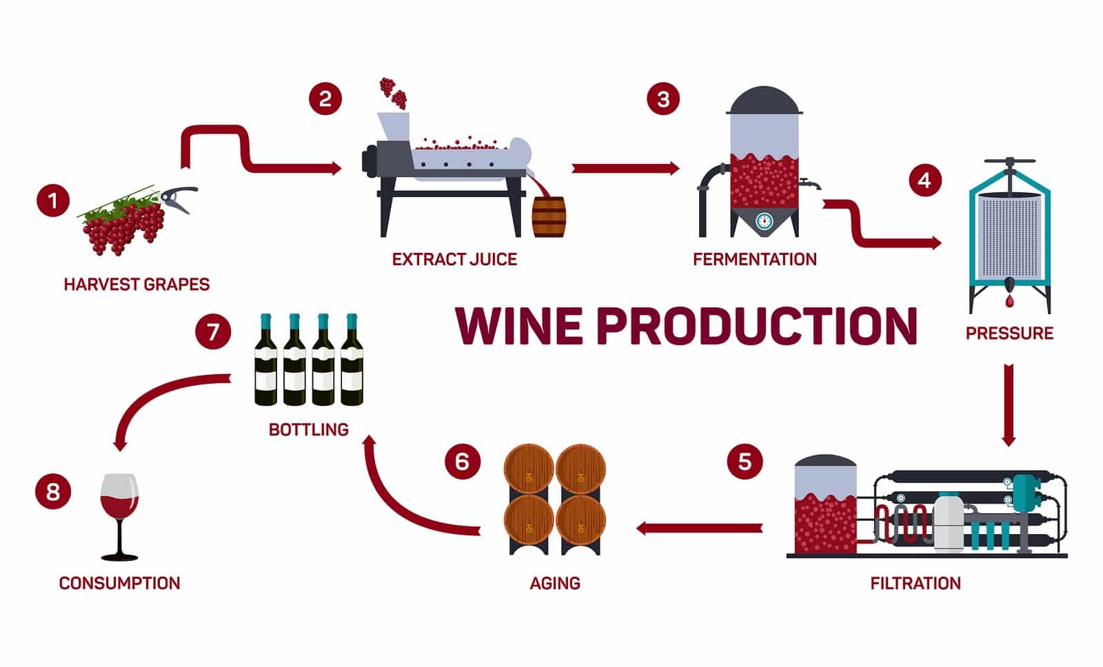 Vector illustration of wine making. How wine is made, wine elements, creating a wine, winemaker tool set and vineyard, flat infographic. Production of alcoholic beverages.