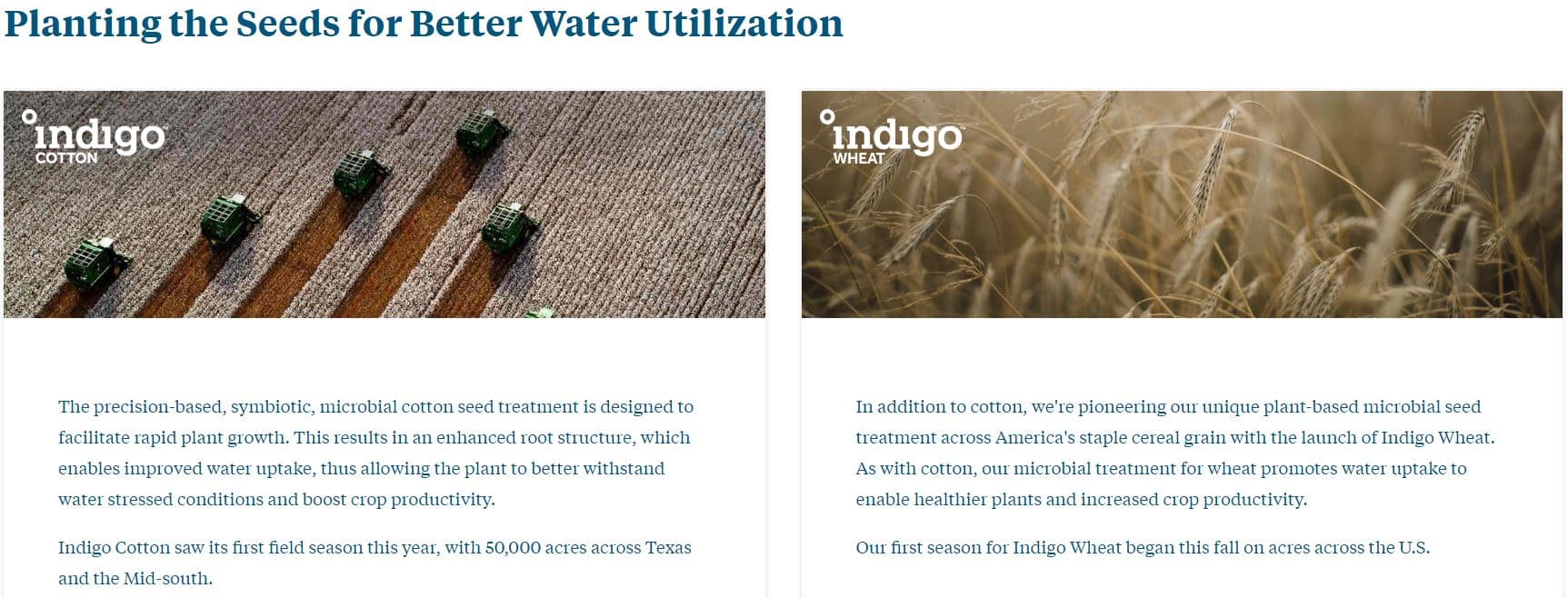Indigo's products