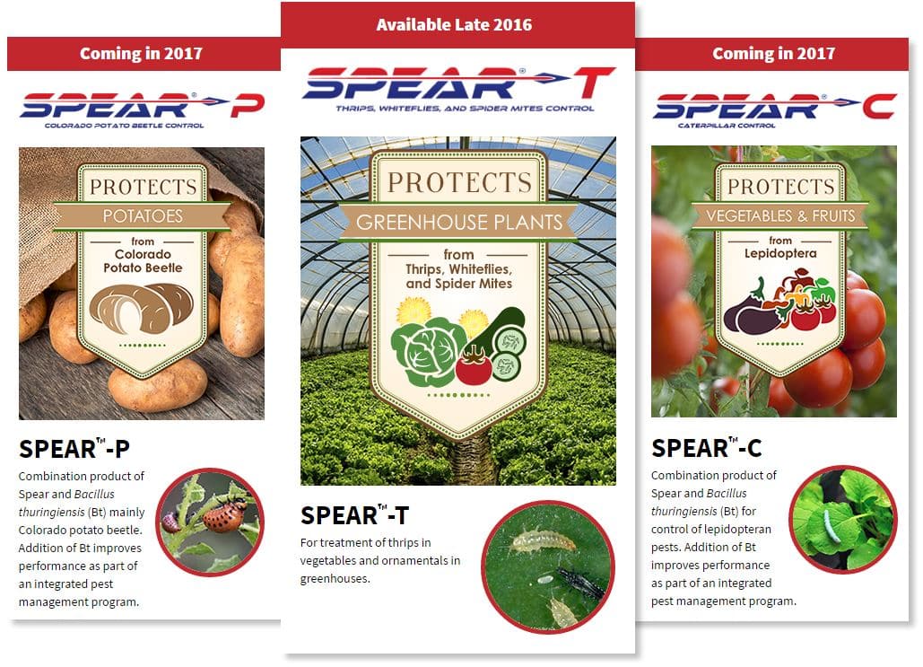 Vestaron's bioinsecticide offerings