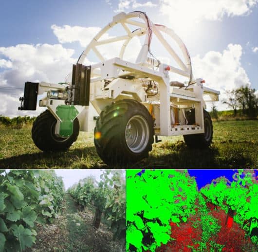 Agriculture Robot