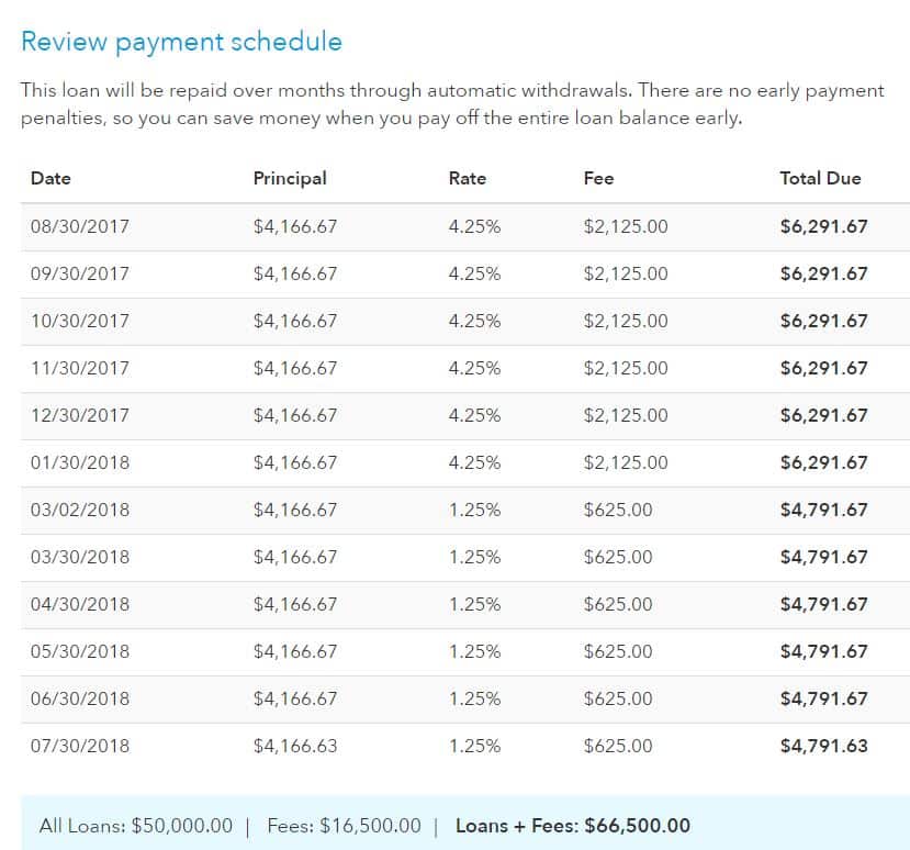 Kabbage Small Business Loan Repayment Example