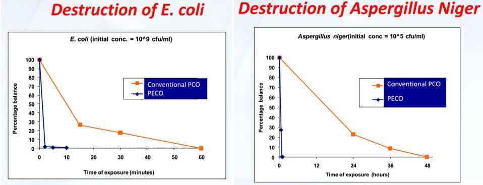 Molekule destroys E. coli