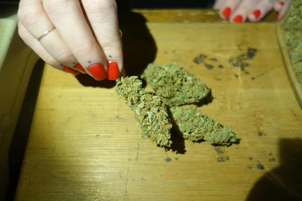 Marijuana at a Barcelona Cannabis Club