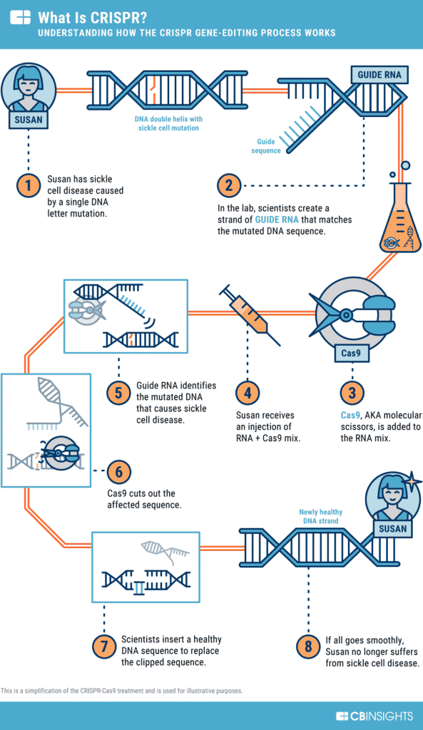 How CRISPR Cas9 works. 
