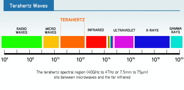 Metamaterials: Terahertz Waves