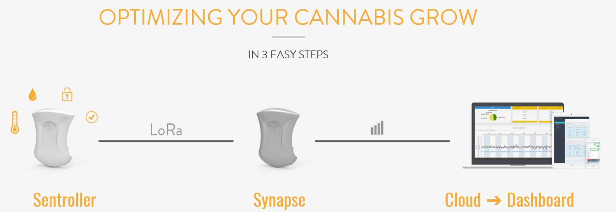Marijuana growing technologies from Braingrid