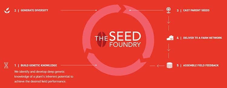 Inari Agriculture steals the whole "foundry" idea from Ginkgo Bioworks. 