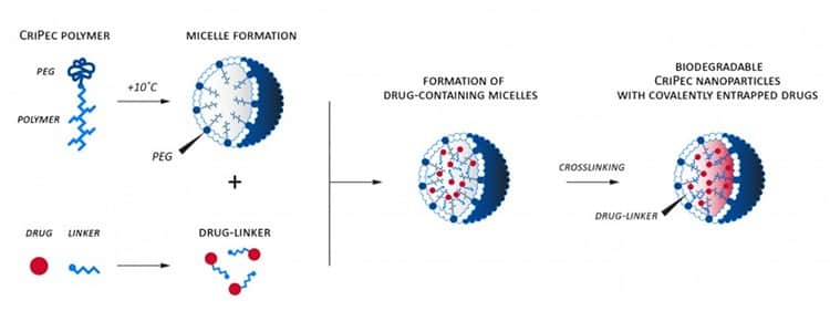 The Cristal Therapeutics platform.