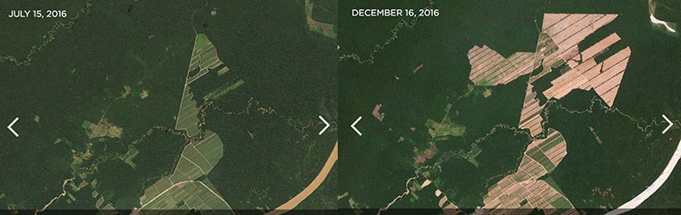 Rapid deforestation near the Bolivian Andes, where 2,000 hectares were cleared for expansion of a sugar mill in six months.