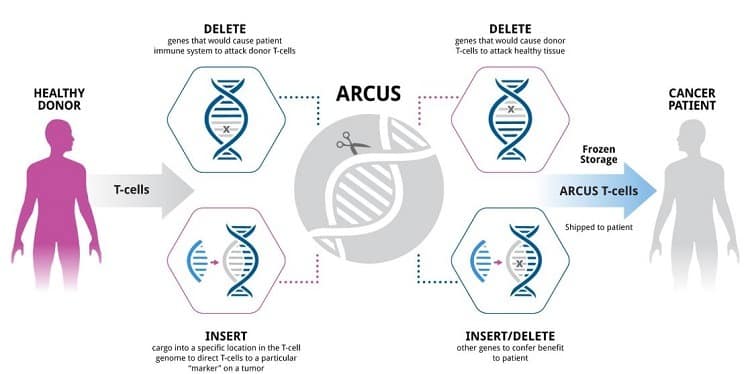 Cell-based immunotherapies 