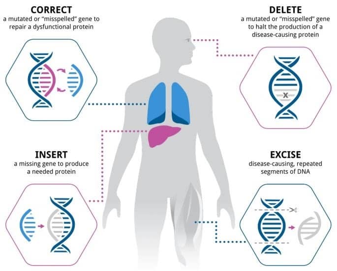 Various methods of gene therapy 