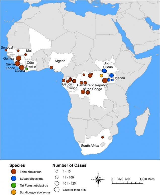 Map of Ebola outbreaks in Africa over 40 years.