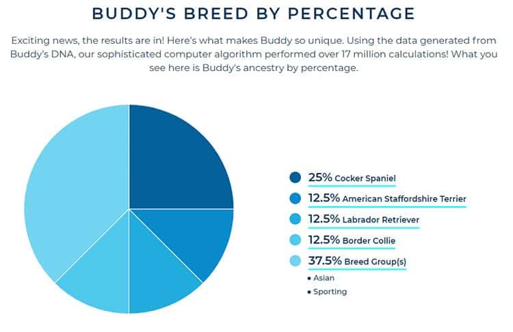 Sample test results from Wisdom Panel. 