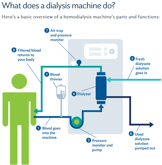 What a dialysis machine does