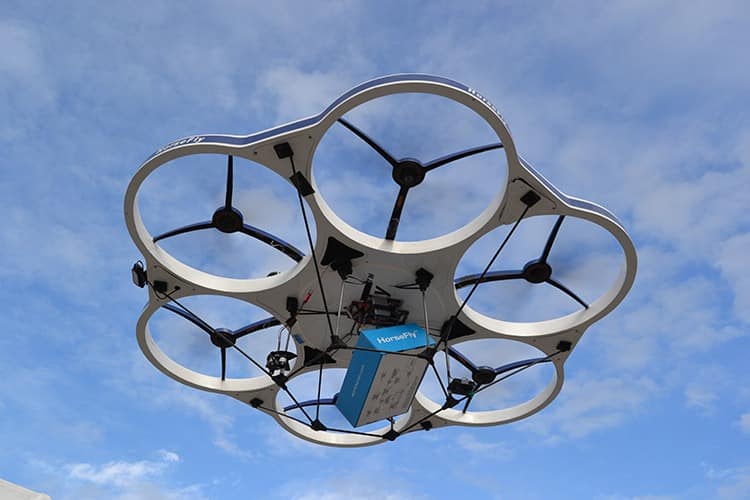 Horsefly delivery drone.