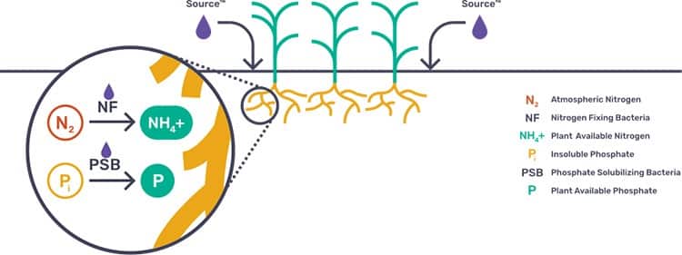 Sound Agriculture's first product feeds microbes in the soil by spraying it directly on the plant. 