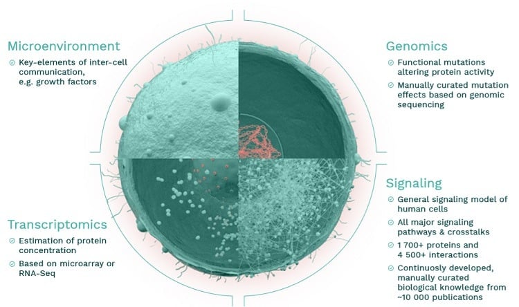 Data Layers of a Simulated Cell