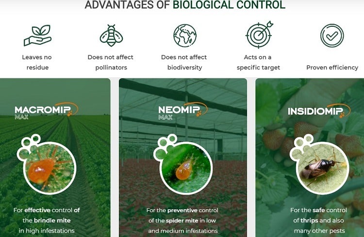 Advantages of biological control