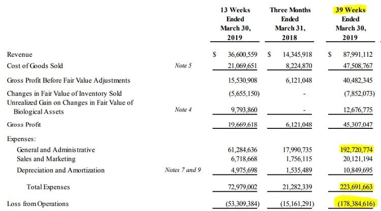 MedMen's Financials