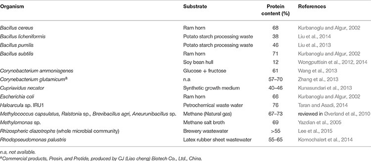 A list of the most popular bacteria used in commercial applications of SCP.