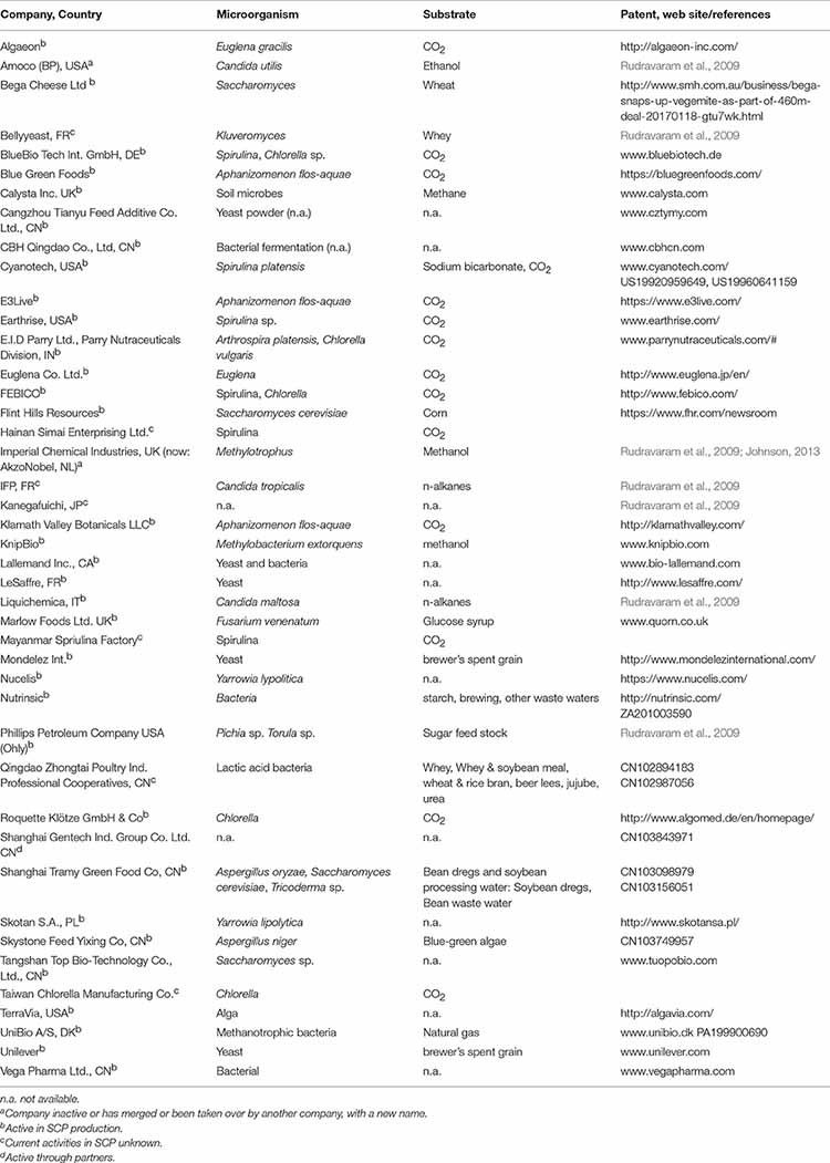List of companies and enterprises working on single cell protein.