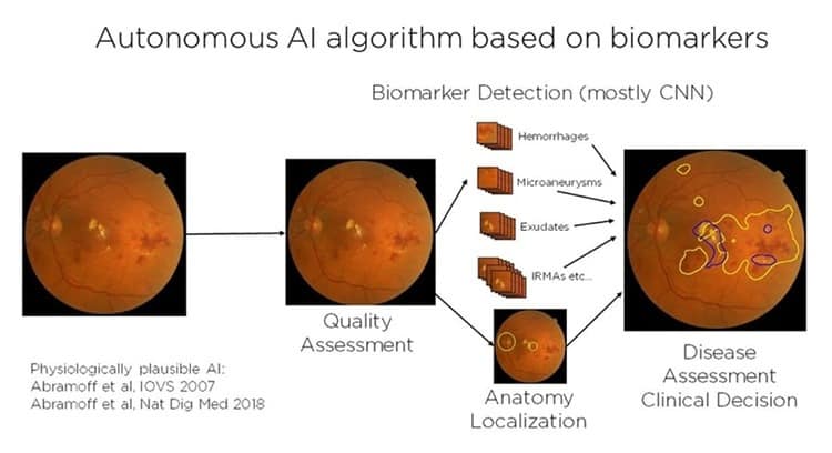 Overview of IDx algorithms. 