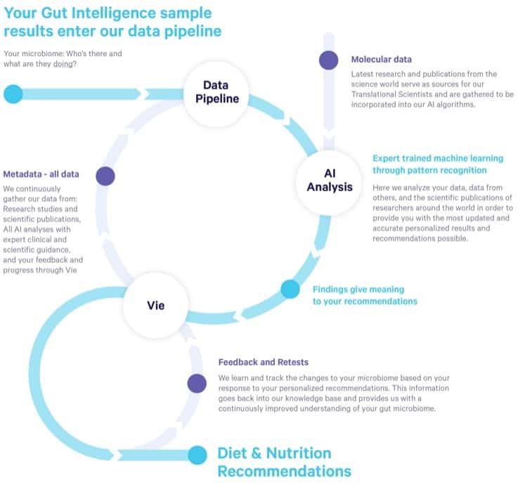 The Viome process
