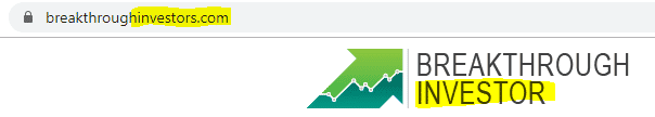 Investors or investor?
