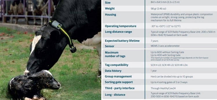 SCR cattle tag specifications
