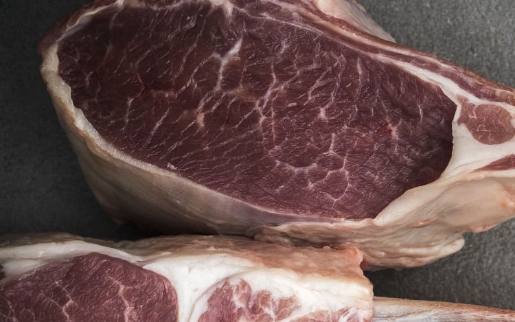 Plant-based protein of the best kind 
