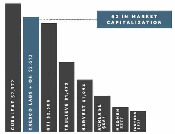 MSO rankings by market cap