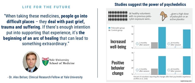 Studies show the power of psychedelics.