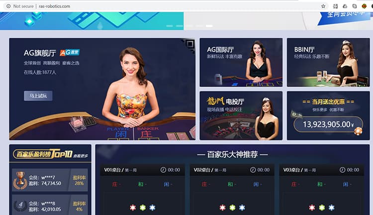 Screenshot of website claiming to be RAS Robotics.