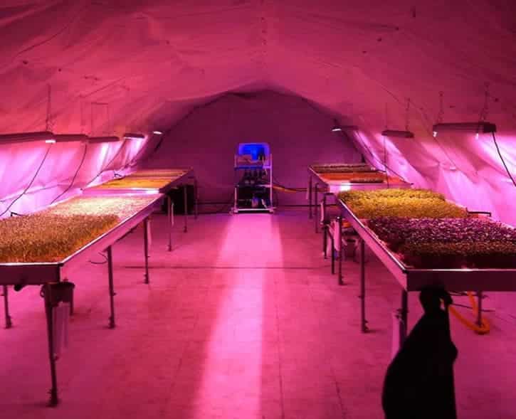 Underground hydroponic farm.