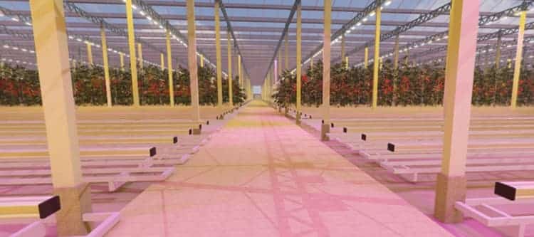 Illustration of AppHarvest high-tech greenhouse.