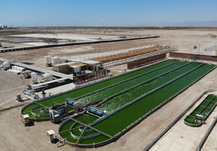 An algal cell factory in La Jolla, CA.