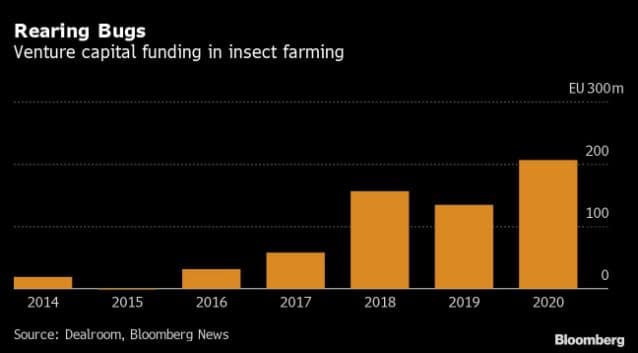 Chart showing investments in insect farming since 2014.