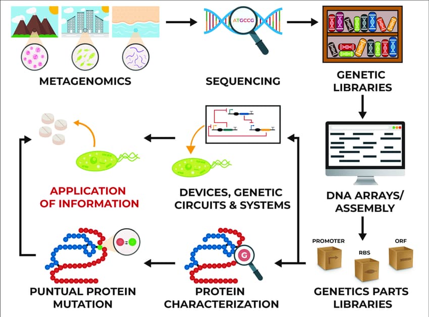 Synthetic biology concepts.