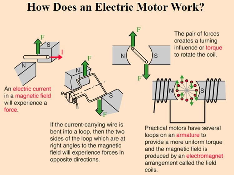 How an electric motor works.