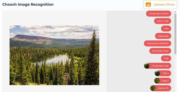 Photo tagged by computer vision.