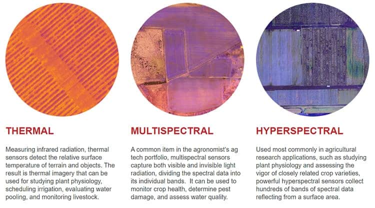 Sensors use different spectra to capture data about crops.