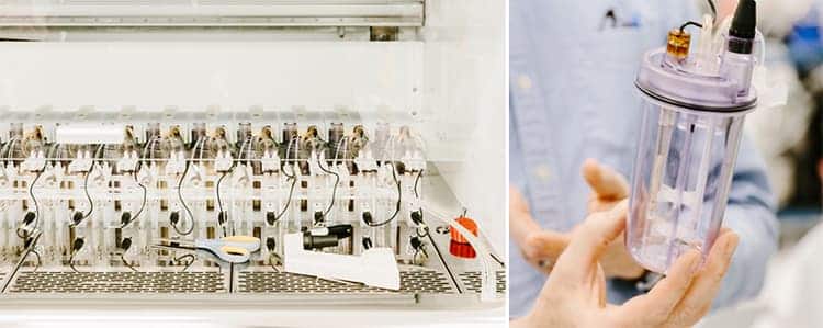 Bioreactors used by Joyn Bio for developing its microbial fermentation process. 
