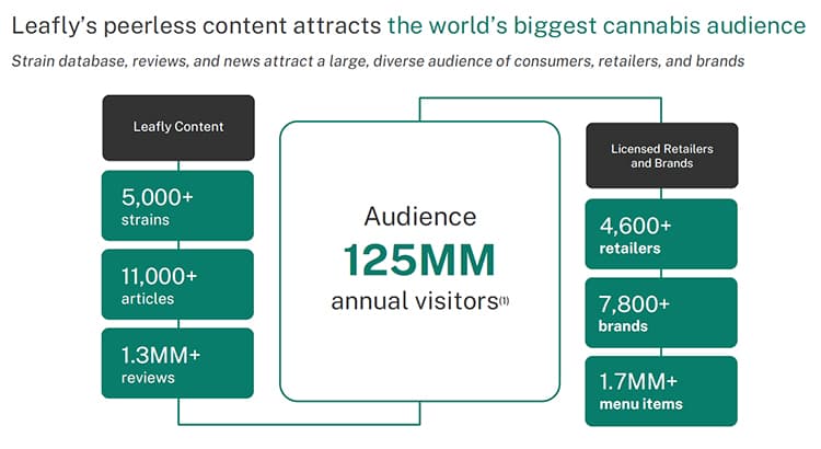 Leafly statistics