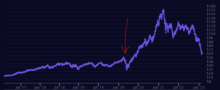 Our red arrow shows the market's reaction to the Rona - Credit: ARK Invest